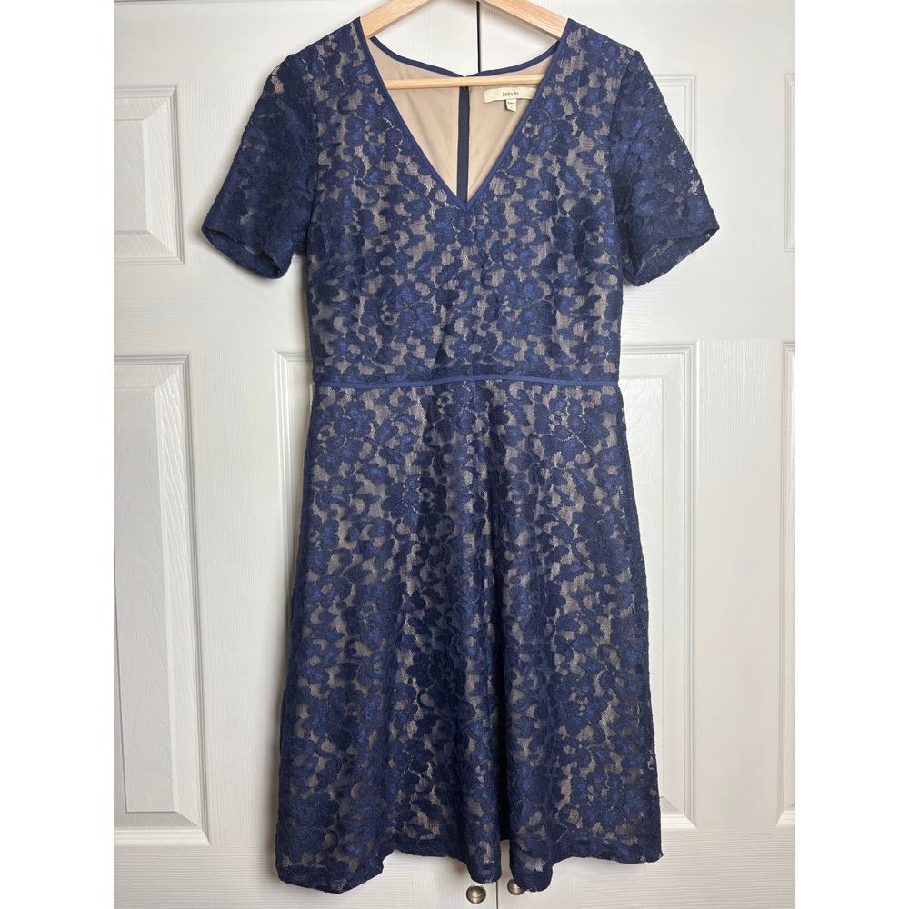 Lark & Ro Navy Blue Floral Lace V-Neck Fit and Flare Dress Size 6 MD5LM921